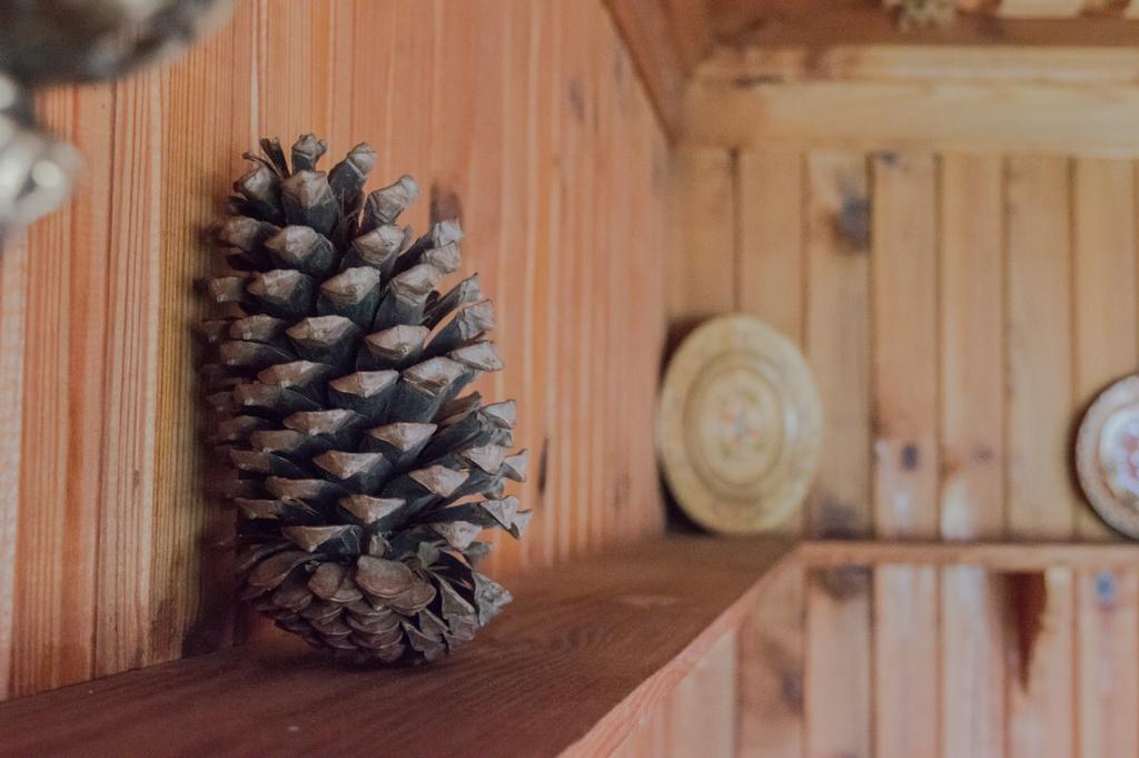 Bobi Guest House Koprivştitsa Dış mekan fotoğraf