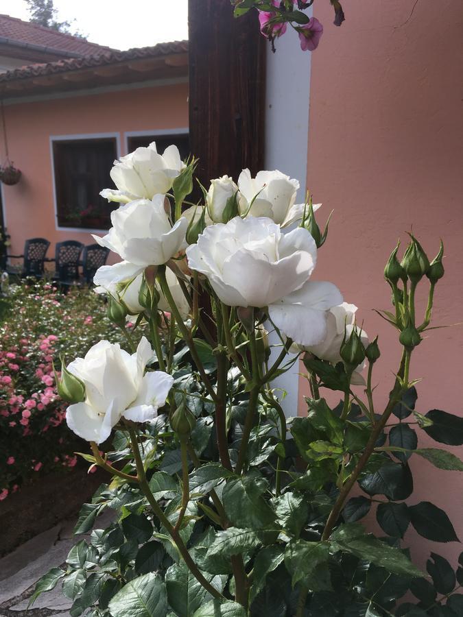 Bobi Guest House Koprivştitsa Dış mekan fotoğraf