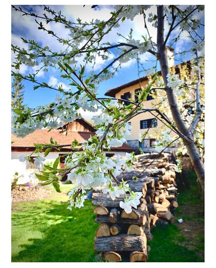 Bobi Guest House Koprivştitsa Dış mekan fotoğraf